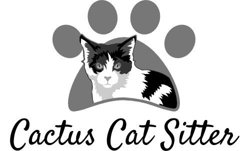 Cactus Cat Sitter